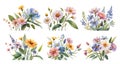 Watercolor wildflowers set. Generative Ai Royalty Free Stock Photo