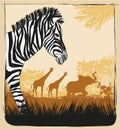 Wild africa card with zebra, elephant and giraffes