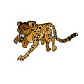 Wild african animals. Cheetah. Hand drawn vector illustration