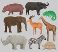 Wild african animals set, hippopotamus, hippopotamus, chameleon, elephant, antelope, giraffe, rhinoceros, turtle