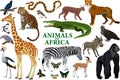 Wild african animals set with zebra, python, leopard, vulture, grey parrot, gorilla, butterflies, giraffe, warthog, cheetah, croco