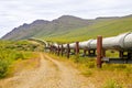 Wild Alaska pipeline Royalty Free Stock Photo