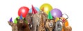 Wild Animal Birthday Party Web Banner Royalty Free Stock Photo