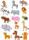 Wild animal cartoon collection Royalty Free Stock Photo