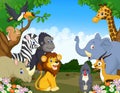 Wild Animal cartoon Royalty Free Stock Photo