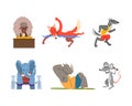 Wild Animal Characters Doing Sport Playing Chess, Swimming, Running, Doing Abdominal Crunches, Lifting Barbell and