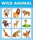 wild animal chart