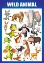 wild animal chart