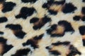 Wild animal fur background with spots Royalty Free Stock Photo