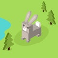 Wild Animal Hare, Rabbit Isometric 3d Design