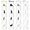 Wild Animal Predator, Lion, Panther, Bird Penguin, Llama. Different Kinds Of Animal Set Collection Icons In Cartoon