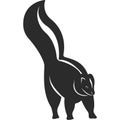 Wild animal skunk. Black and white silhouette.