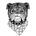 Dog, bulldog. Wild animal for tattoo, nursery poster, children tee, clothing, posters, emblem, badge, logo, patch