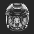 Black bear Wild animal wearing hockey helmet. Print for t-shirt design. Royalty Free Stock Photo