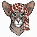 Wild animal wearing keffiyeh or kufiya. Animal head.