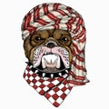 Wild animal wearing keffiyeh or kufiya. Animal head.