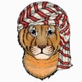 Wild animal wearing keffiyeh or kufiya. Animal head.