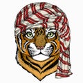 Wild animal wearing keffiyeh or kufiya. Animal head.