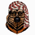 Wild animal wearing keffiyeh or kufiya. Animal head.