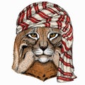 Wild animal wearing keffiyeh or kufiya. Animal head.