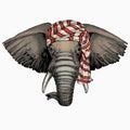 Wild animal wearing keffiyeh or kufiya. Animal head.