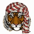 Wild animal wearing keffiyeh or kufiya. Animal head.