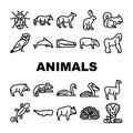 Wild Animals, Birds And Insects Icons Set Vector