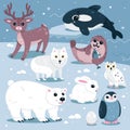 Wild animals and birds of North, nature of Arctic and Antarctic cute baby animals Royalty Free Stock Photo