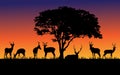 Wild animals black silhouettes Royalty Free Stock Photo