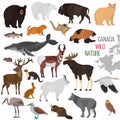 Wild animals of Canada color flat icons set