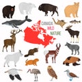 Wild animals of Canada color flat icons set