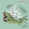 Wild animals of Canada color infographics