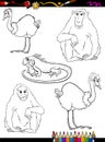 Wild animals cartoon coloring book