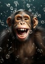 Face wild ape primate nature wildlife bonobo animals monkey chimpanzee mammal funny