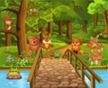 Wild animals in the forest and a bridge in the foreground