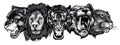 Monochromatic Wild Animals Heads Set. Lion, Tiger, Jaguar, Lynx - Vector Mascot Logo Design