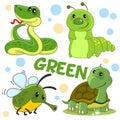 Wild animals and insects of green color.