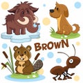 Wild animals and insects of green color 2Wild animals are brown2.