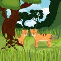 Wild animals in the jungle scene