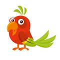 Wild animals. Parrot Wildlife Vector