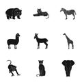 wild animals related icon set Royalty Free Stock Photo