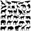 Wild animals set