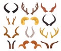 Wild animals sharp horns in pairs, hunting trophy set Royalty Free Stock Photo