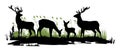 Wild Animals. Silhouette Figures. Glade In Swamp. Grass And Reeds. Isolated On White Background. Vector.