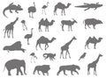 Wild animals silhouette - undomesticated animal species Royalty Free Stock Photo