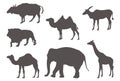 Wild animals silhouette - undomesticated animal species Royalty Free Stock Photo