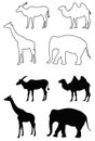 Wild animals silhouette - undomesticated animal species