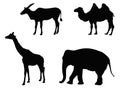 Wild animals silhouette - undomesticated animal species Royalty Free Stock Photo