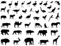 Wild animals silhouette - undomesticated animal species Royalty Free Stock Photo