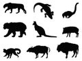 Wild animals silhouette - undomesticated animal species Royalty Free Stock Photo